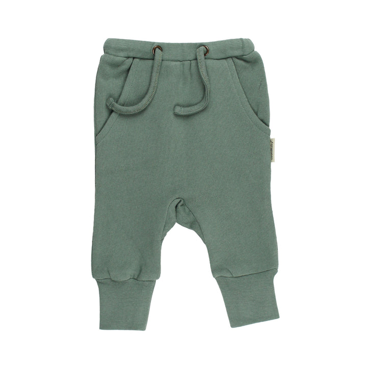 Cozy Fleece Jogger in Jade, Flat