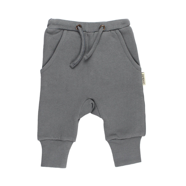 Cozy Fleece Jogger in Mist.