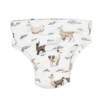 Organic Potty-Training Briefs in Llama.