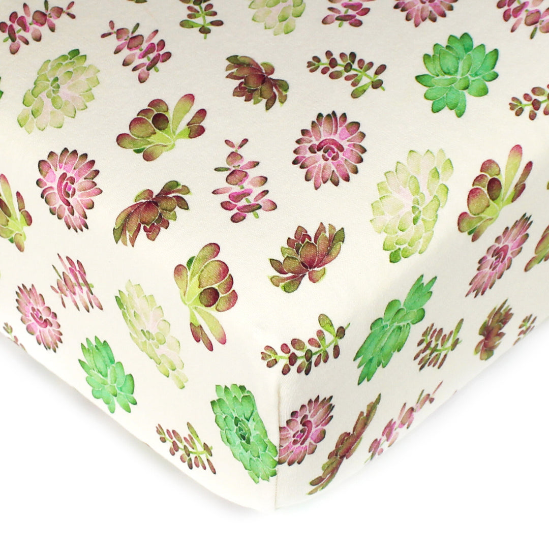 succulent sheets Buttercream Succulents